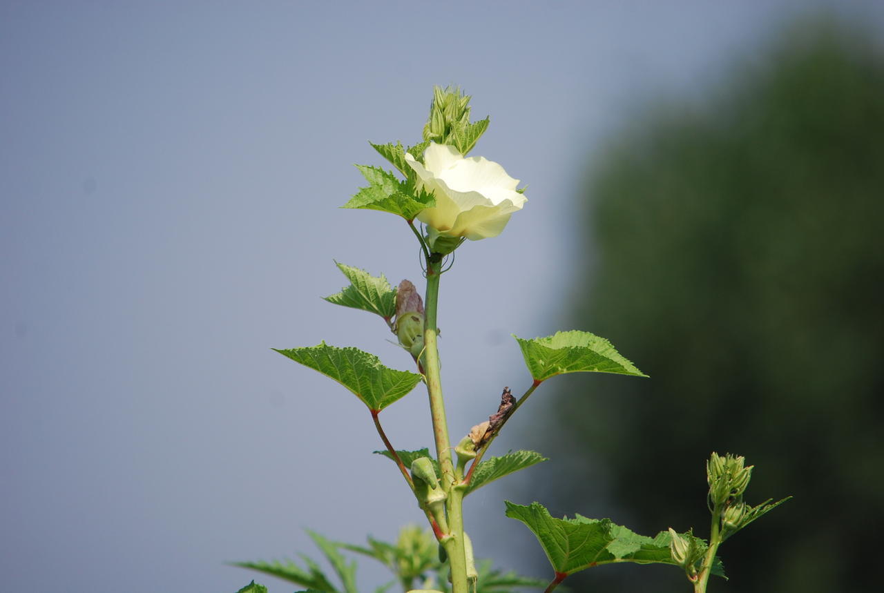 לינה וארוחת בוקר Ozzero Agriturismo Cascina Selva מראה חיצוני תמונה
